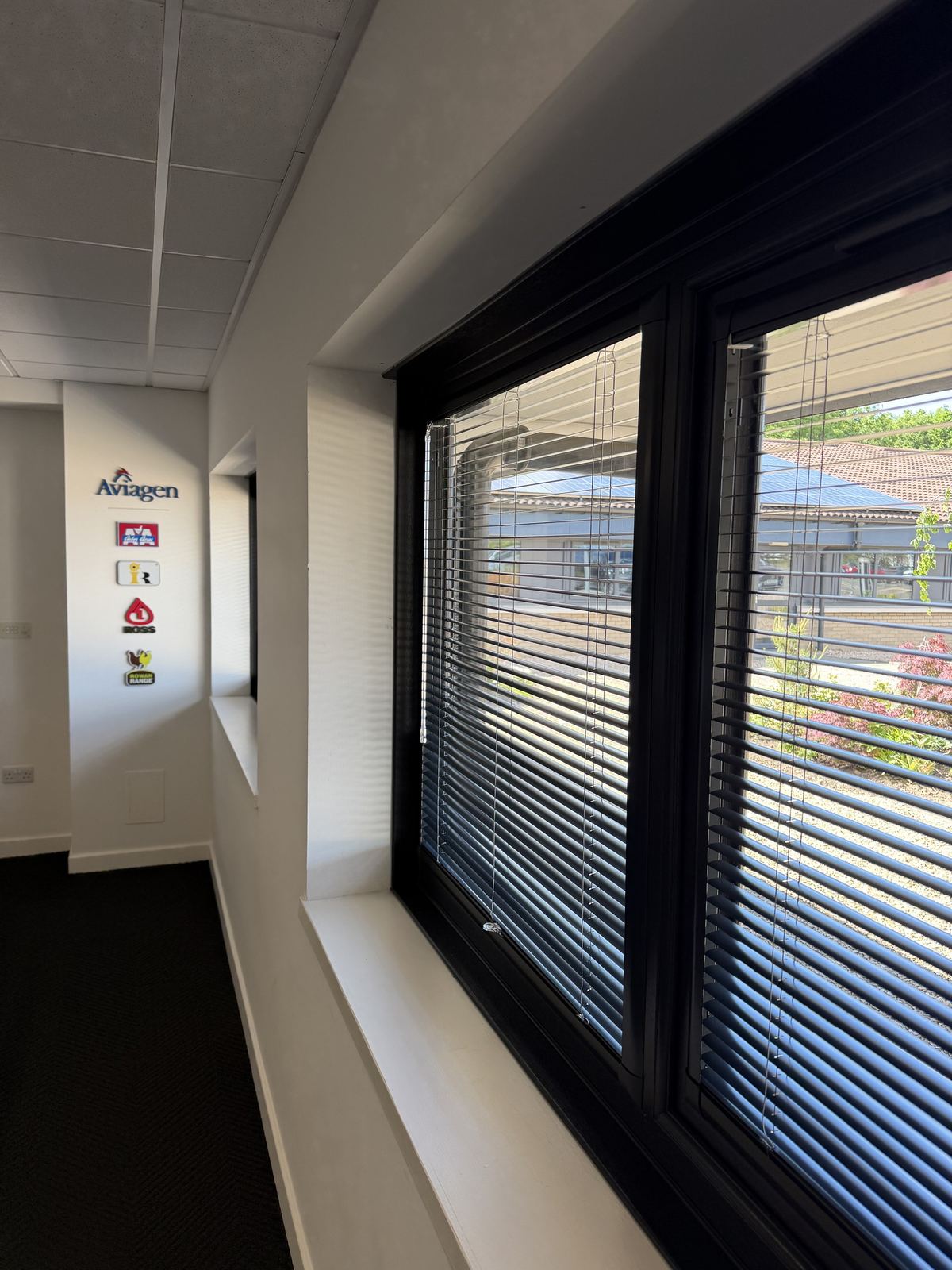 Perfect Fit venetian blinds fitted at Aviagen head office