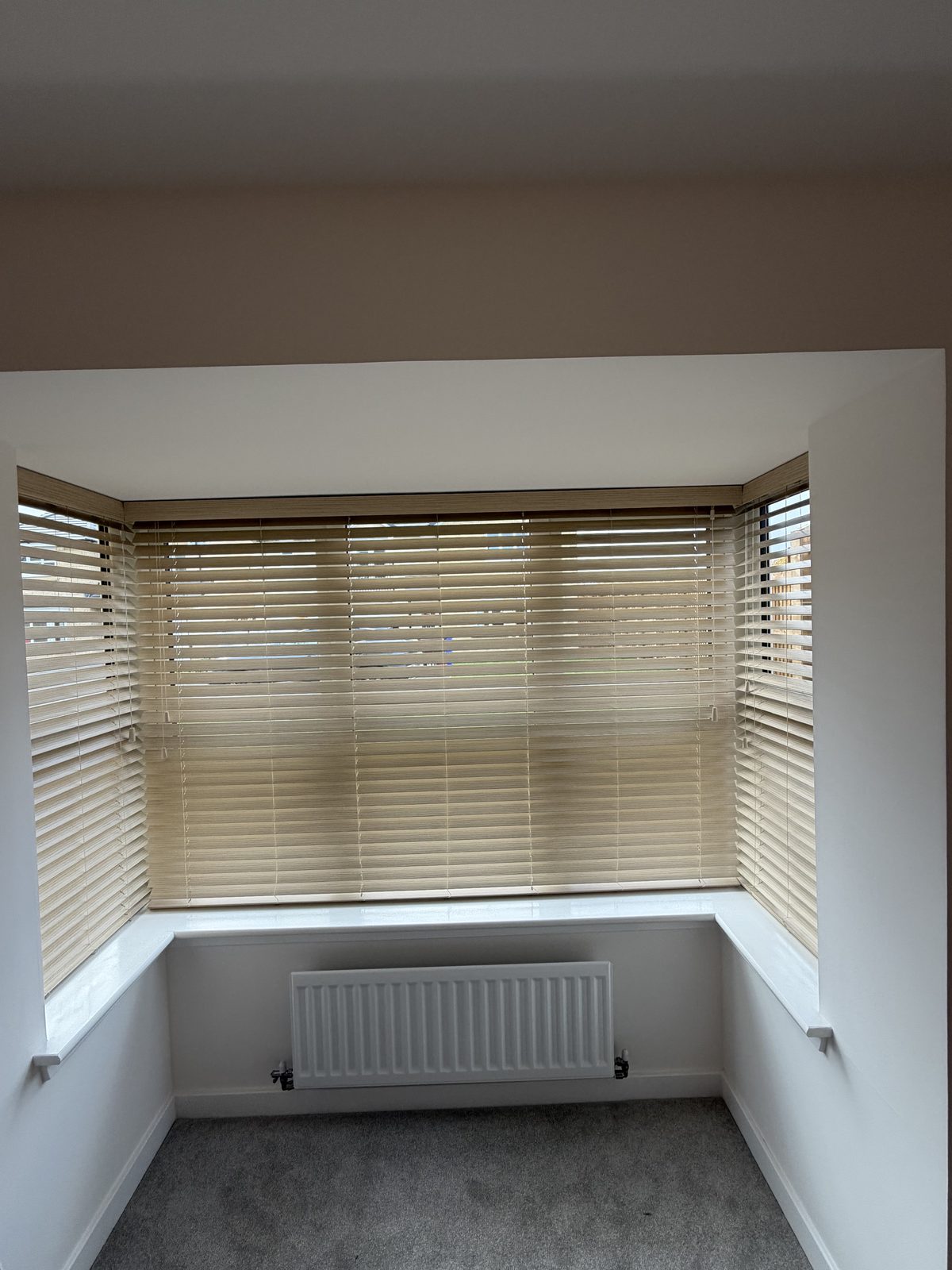 Venetian blind close up